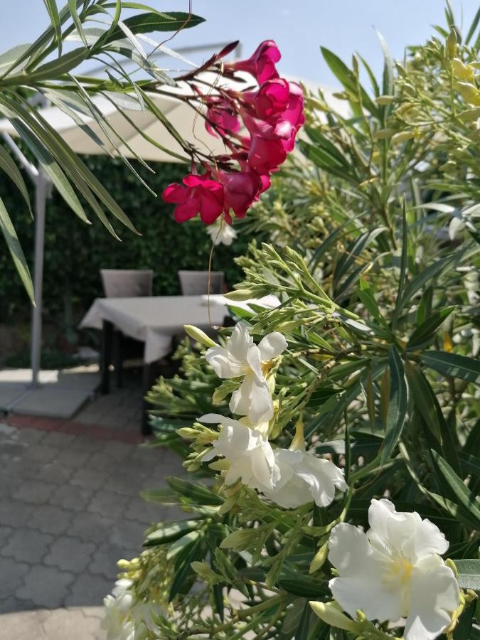 Kertesz Vendeghaz Hotel Eger Luaran gambar